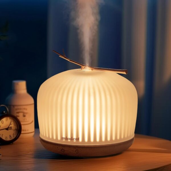 Limited time deal 50%off Aroma Diffuser Glass for Women